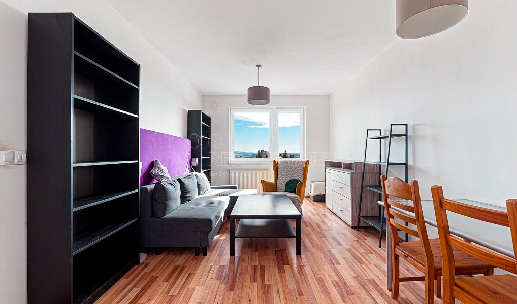 Pronájem bytu 2+kk 46 m², Plzeň – náhled fotky 4
