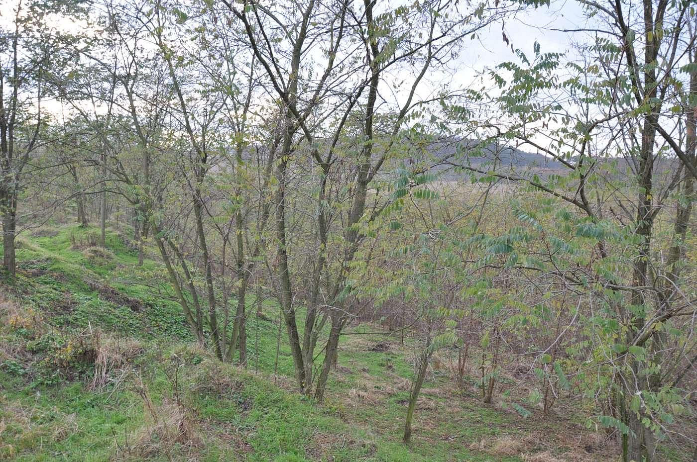 Prodej zahrady 10 731 m²