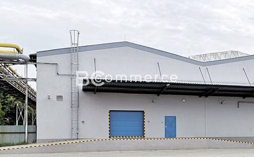 Pronájem skladovacích prostor 793 m², Mládežnická, Břeclav