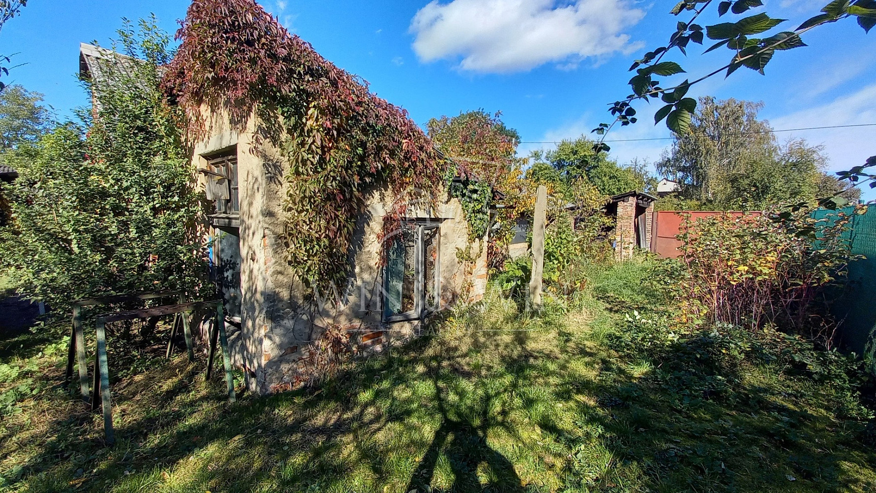 Fotka 18 z 21