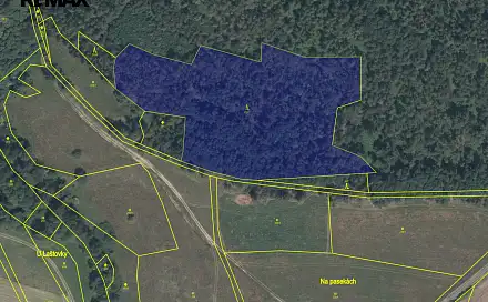 Prodej lesa 14 998 m², Drevníky, okres Příbram