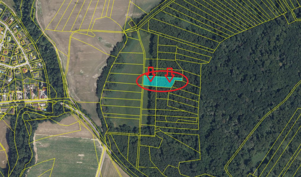Prodej lesa 1 596 m², Mochov – náhled fotky 6