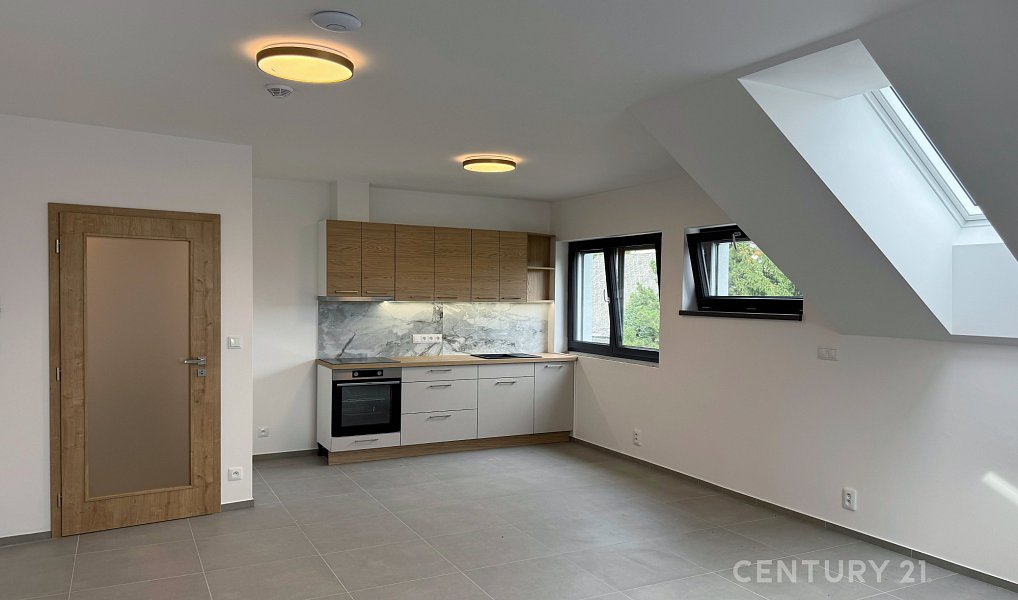 Pronájem bytu 3+kk 52 m², Bořanovice – náhled fotky 8