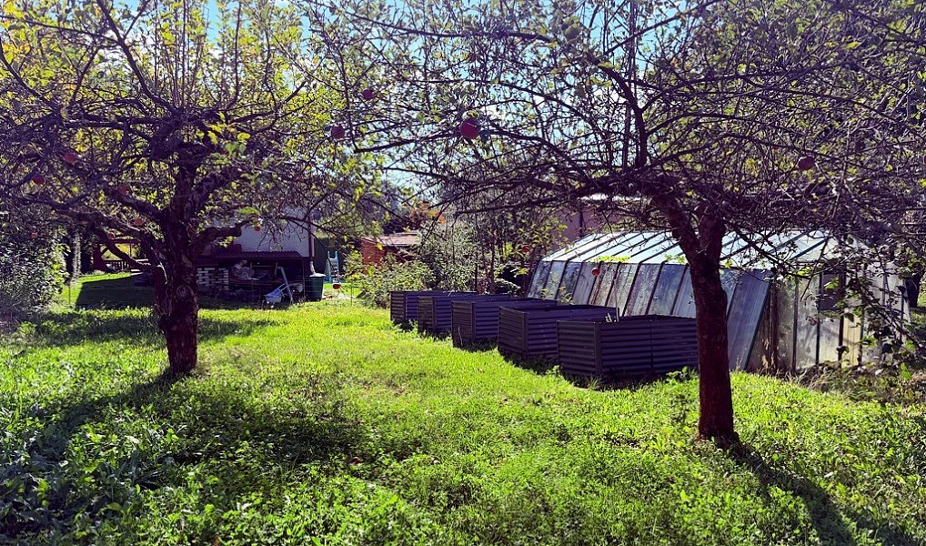 Prodej zahrady 392 m², Příbor – náhled fotky 5