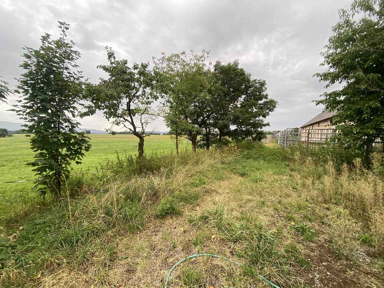 Prodej stavebního pozemku 4 246 m² – fotografie 4