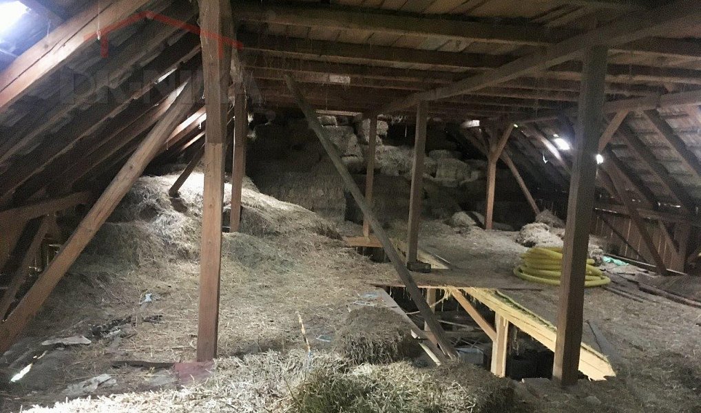 Prodej domu 180 m² s pozemkem 22 729 m², Benešov u Semil – náhled fotky 25