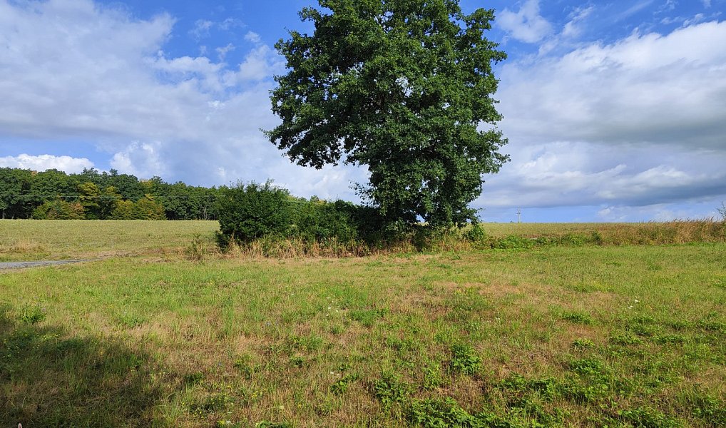 Prodej stavebního pozemku 1 110 m², Petrov – náhled fotky 3
