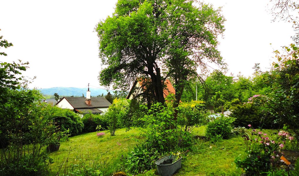 Prodej chaty/chalupy 46 m² s pozemkem 728 m², Petrov – náhled fotky 8