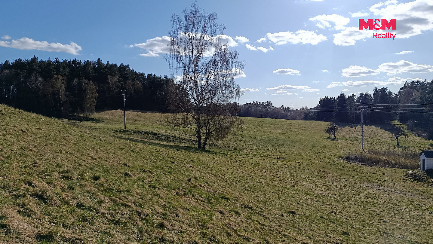Prodej louky 2 749 m² – fotografie 3