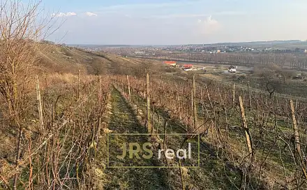 Prodej pole 2 669 m², Mutěnice, okres Hodonín