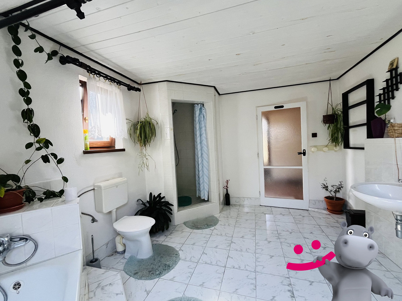 Prodej domu 446 m² s pozemkem 4 955 m² – fotografie 5