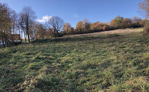 Prodej stavebního pozemku 1 445 m², Krňany - Třebsín, okres Benešov