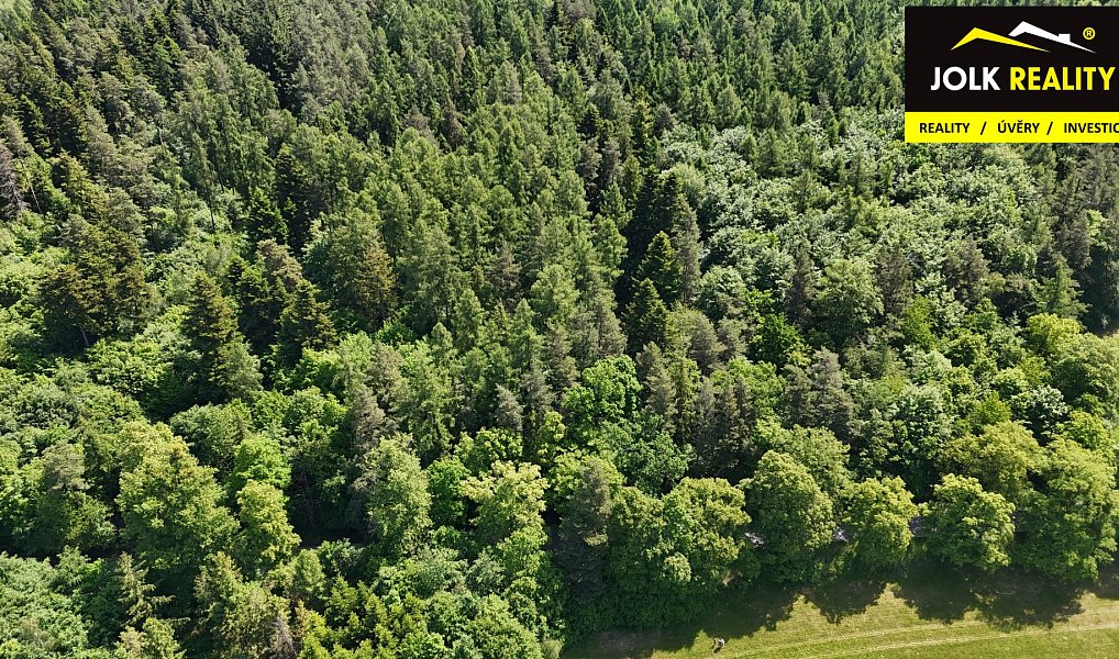 Prodej lesa 13 182 m², Vršovice – náhled fotky 6
