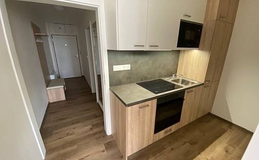 Pronájem bytu 1+kk 31 m², Okružní, Jihlava