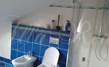 Ostatní