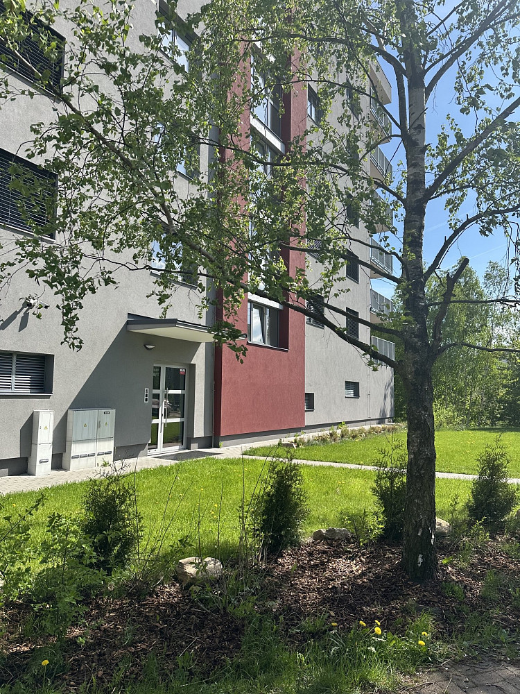 Pronájem bytu 2+kk 63 m² — photo 2