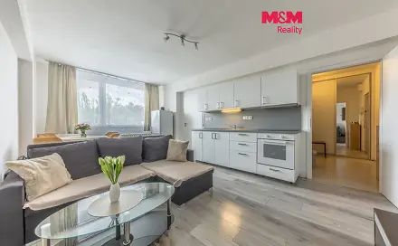 Pronájem bytu 2+kk 42 m², Jana Palacha, Mladá Boleslav - Mladá Boleslav II