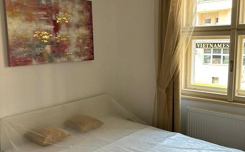 Pronájem bytu 2+kk 31 m², Studentská, Praha 6 - Dejvice