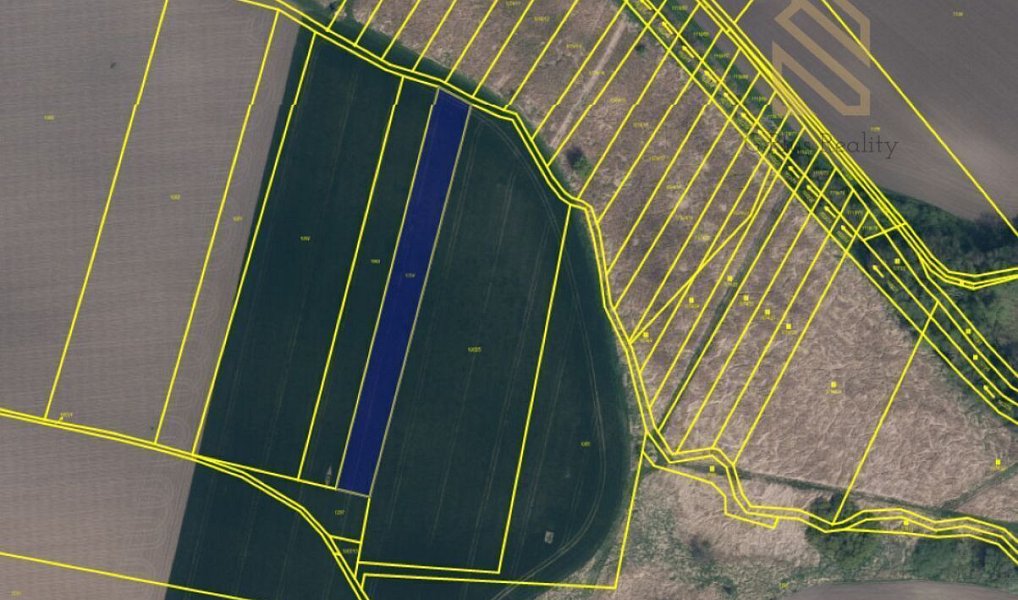 Prodej pole 7 211 m², Vrbice – náhled fotky 3
