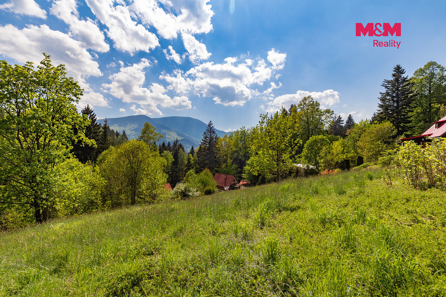 Prodej stavebního pozemku 3 902 m² – fotografie 4