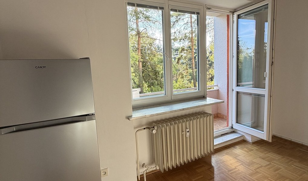 Pronájem bytu 1+1 38 m², Brno – náhled fotky 6