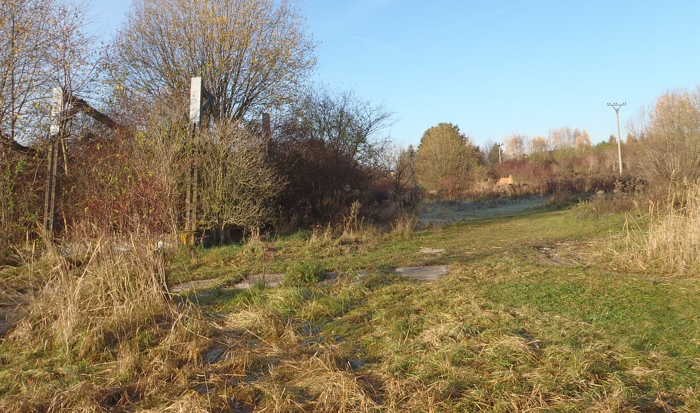 Prodej louky 8 401 m², Kosmonosy – náhled fotky 2