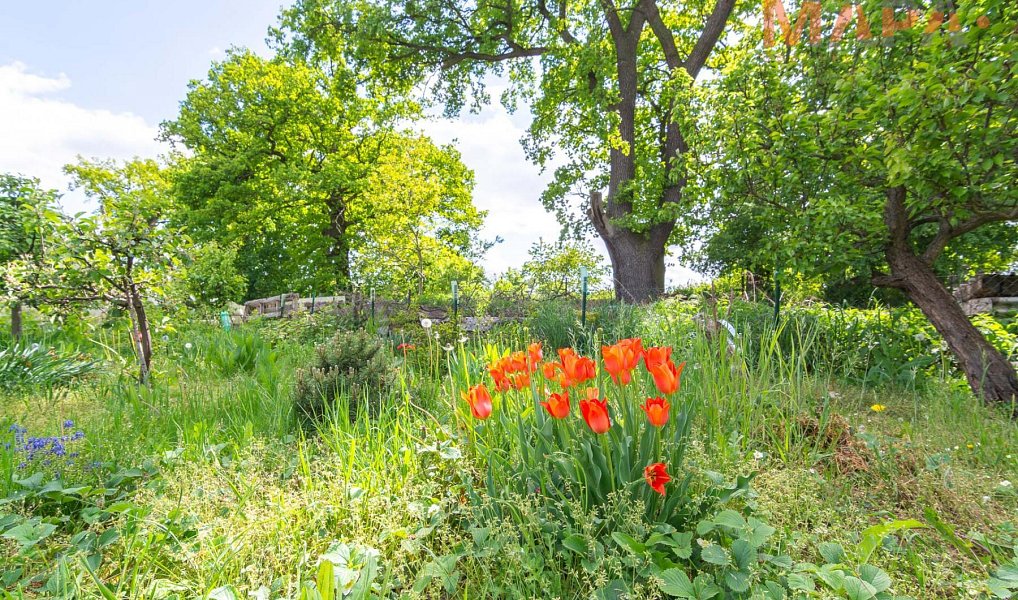 Prodej chaty/chalupy 16 m² s pozemkem 448 m², Jirkov – náhled fotky 5
