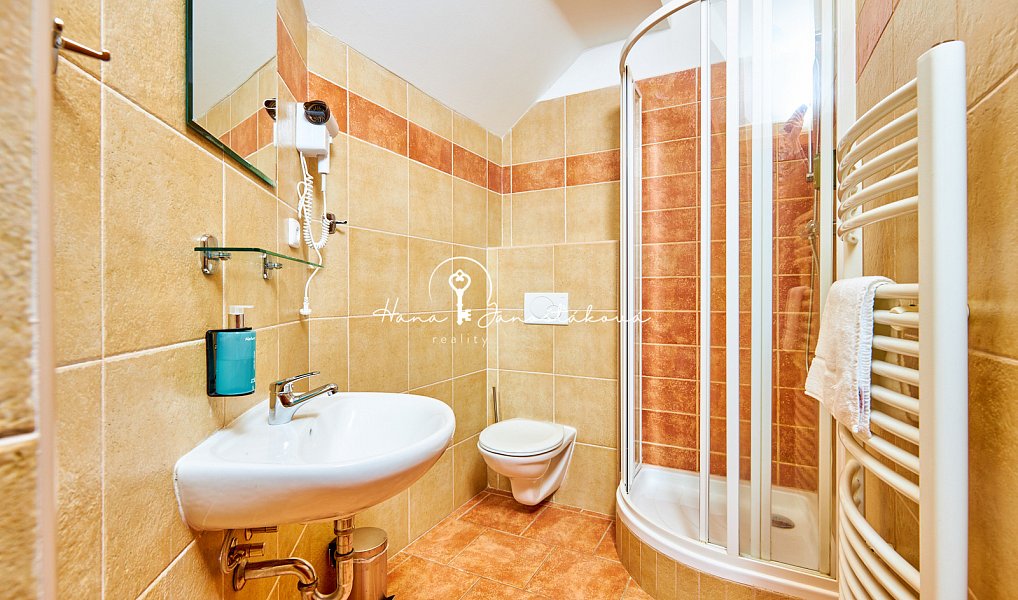 Prodej ubytovacího objektu 270 m², Český Krumlov – náhled fotky 10