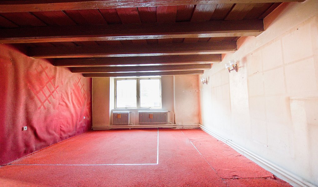 Prodej domu 680 m² s pozemkem 874 m², Pitín – náhled fotky 7