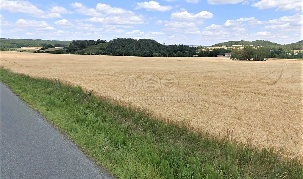 Prodej pole 1 366 m², Vrčeň – náhled fotky 3