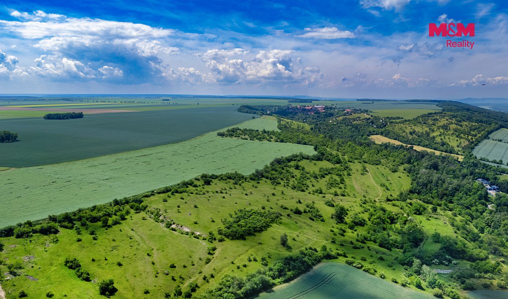 Prodej lesa 49 399 m², Libochovice – náhled fotky 8