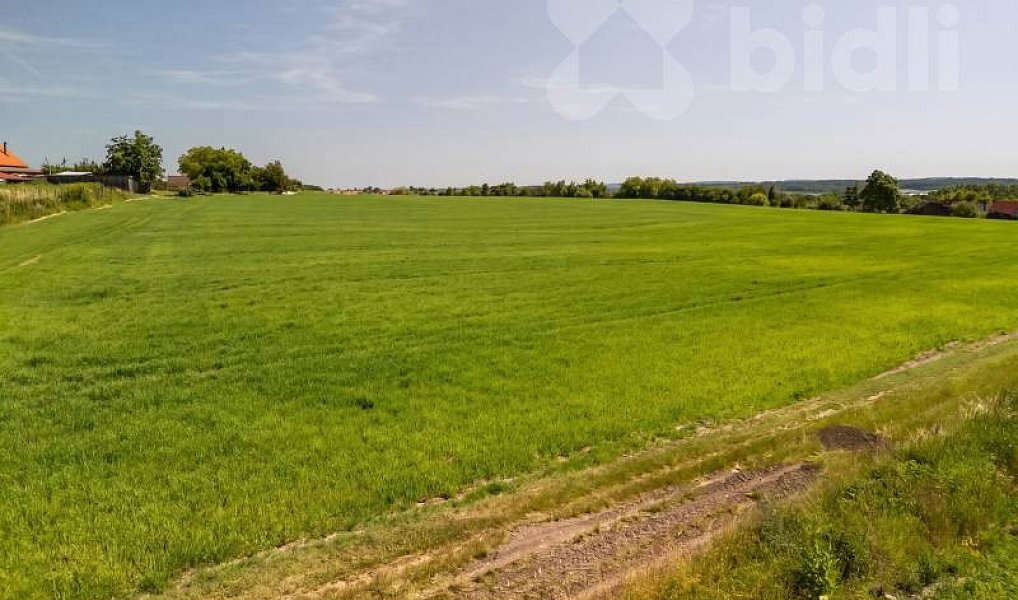 Prodej stavebního pozemku 1 035 m², Přelouč – náhled fotky 8