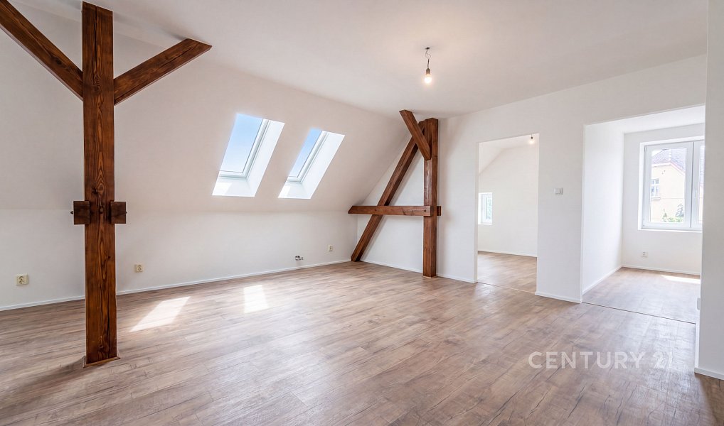 Prodej domu 300 m² s pozemkem 539 m², Mladá Boleslav – náhled fotky 4
