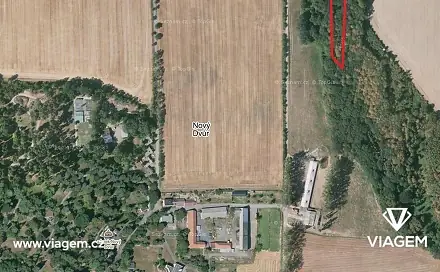 Prodej lesa 1 852 m², Stěbořice, okres Opava