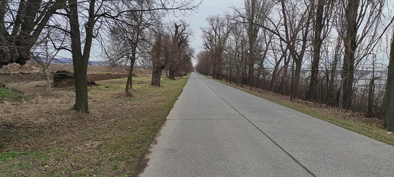 Prodej komerčního pozemku 34 250 m² – fotografie 4
