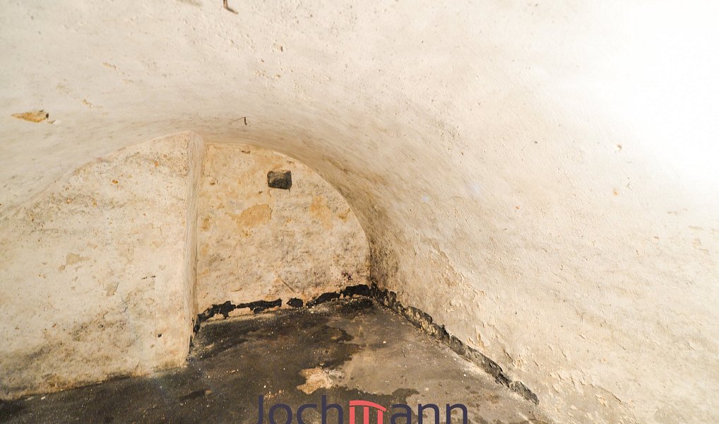 Prodej domu 310 m² s pozemkem 377 m², Benešov nad Černou – náhled fotky 28