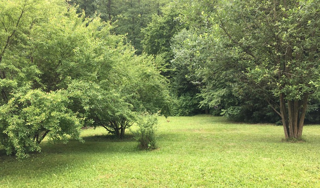 Prodej stavebního pozemku 1 474 m², Luhačovice – náhled fotky 4
