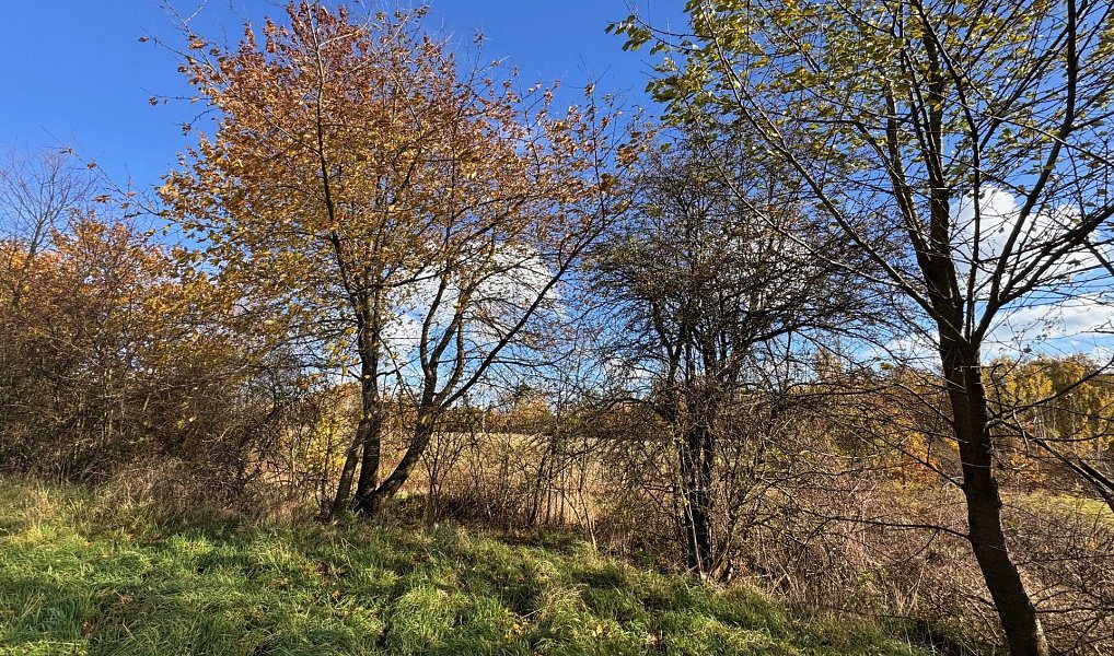 Prodej stavebního pozemku 20 638 m², Rumburk – náhled fotky 4