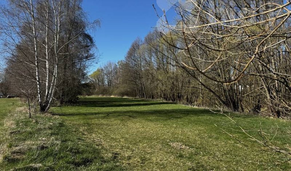 Prodej stavebního pozemku 3 293 m², Horní Stropnice – náhled fotky 10