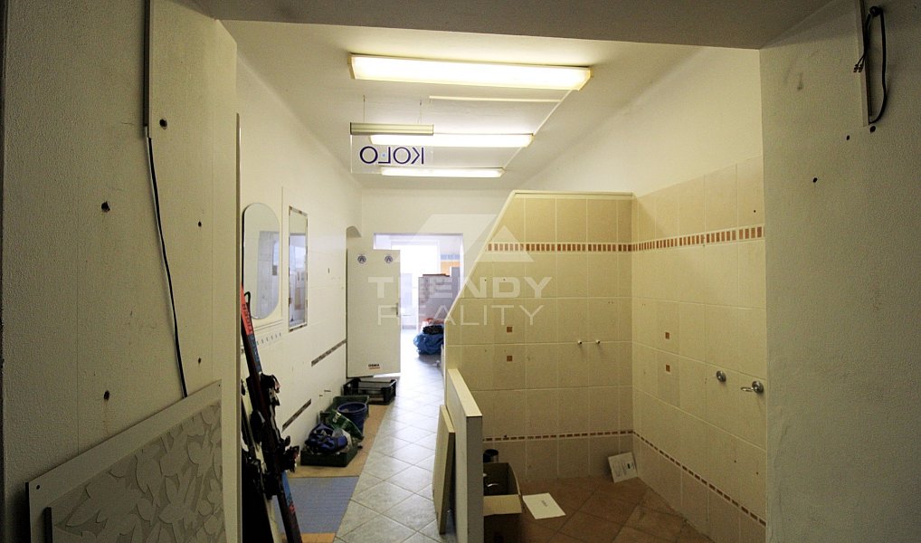 Prodej obchodních prostor 450 m², Plzeň – náhled fotky 8