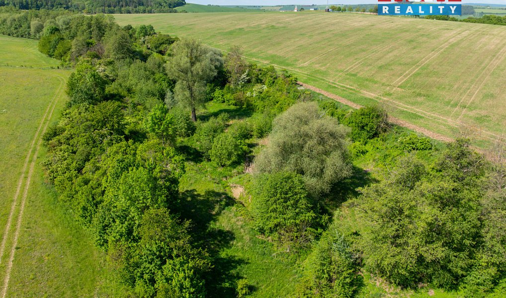 Prodej louky 29 359 m², Roštín – náhled fotky 5