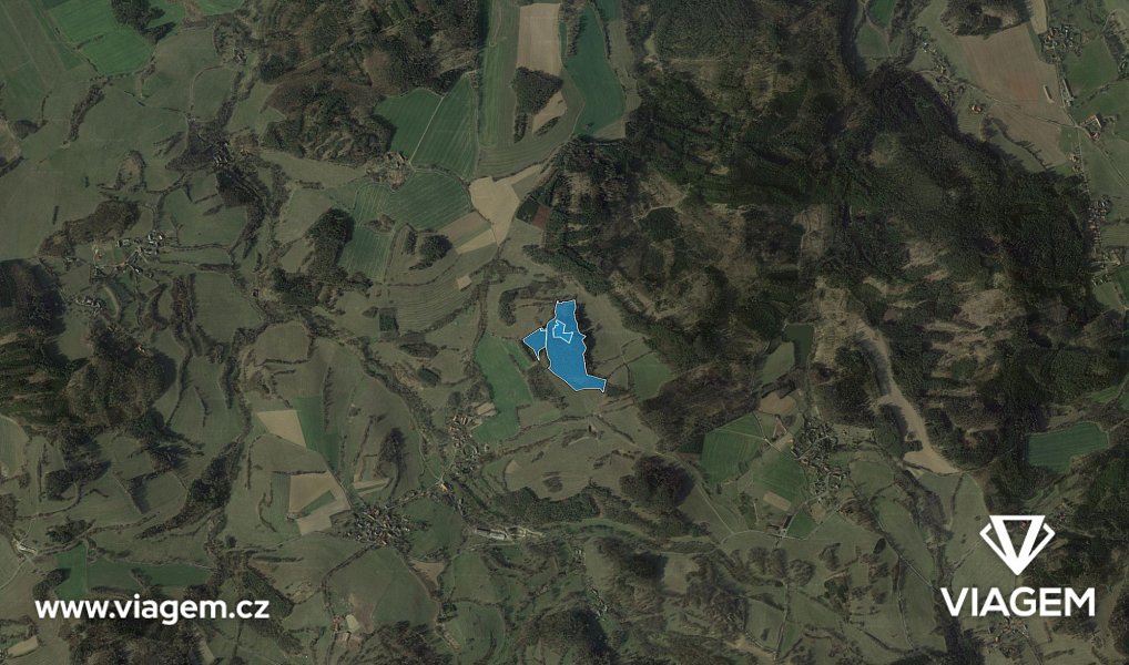 Prodej lesa 33 517 m², Nechvalice – náhled fotky 3