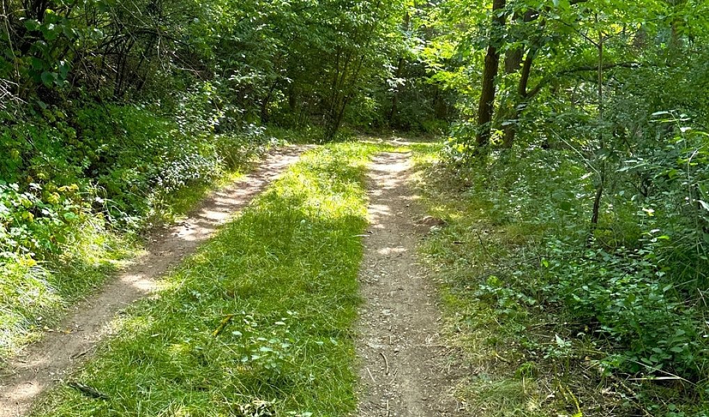 Prodej vodní plochy 25 771 m², Dačice – náhled fotky 9