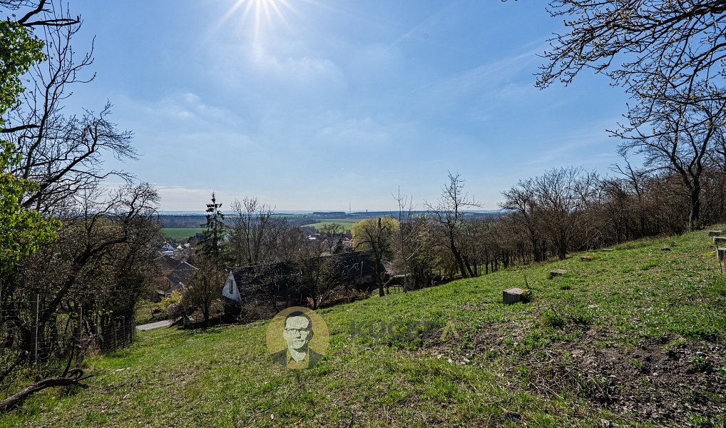 Prodej stavebního pozemku 3 158 m², Střemy – náhled fotky 4