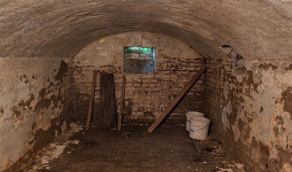 Prodej domu 70 m² s pozemkem 1 940 m², Nová Ves – náhled fotky 16