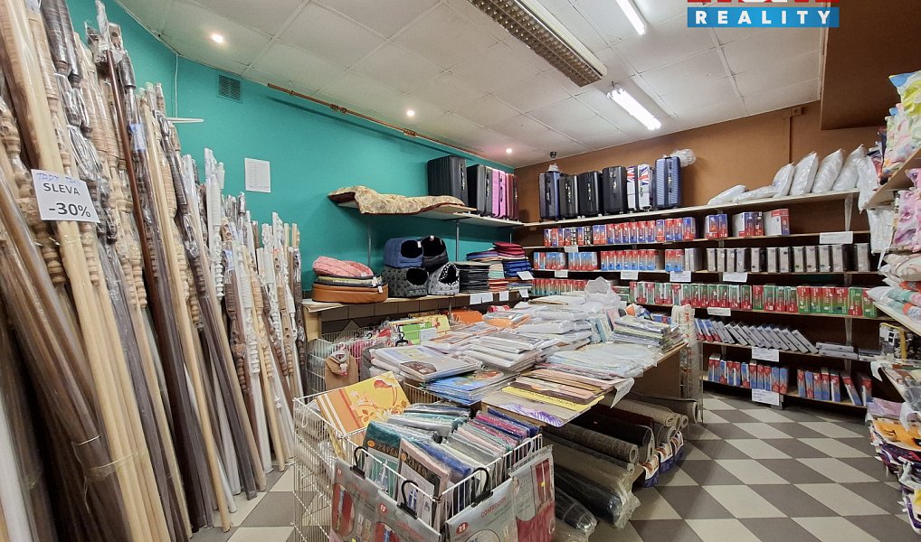 Pronájem obchodních prostor 600 m², Ostrov – náhled fotky 9