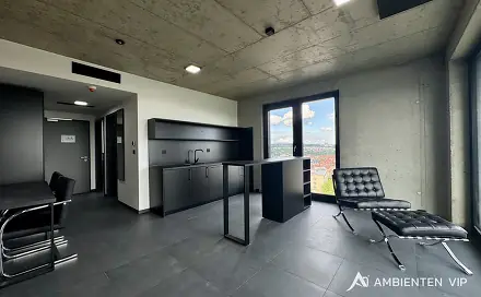 Pronájem bytu 2+kk 48 m², Královopolská, Brno - Žabovřesky
