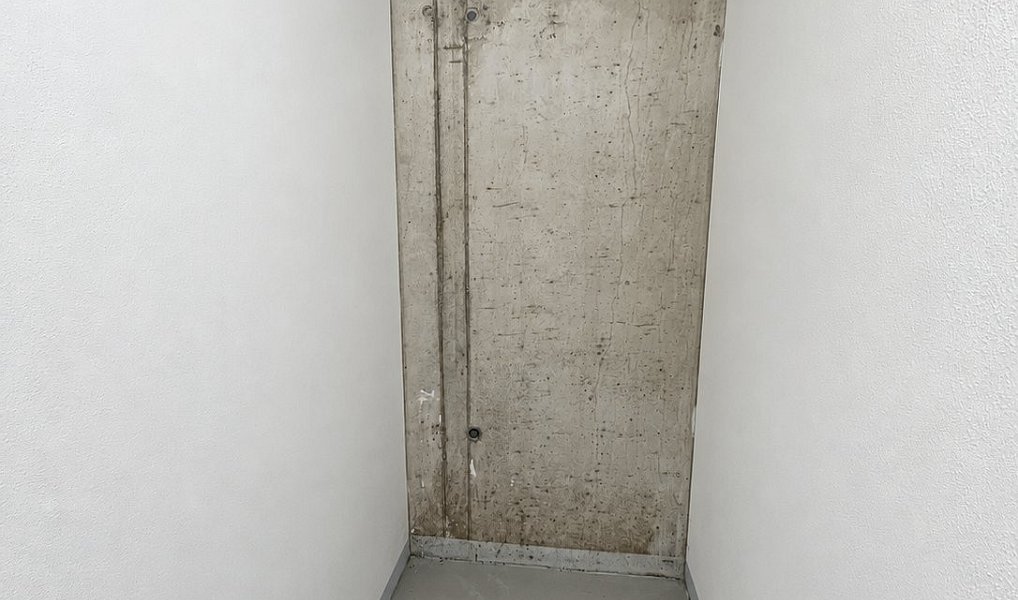 Pronájem bytu 1+kk 35 m², Olomouc – náhled fotky 9