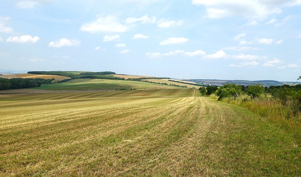 Prodej pole 6 120 m², Slavkov – náhled fotky 3