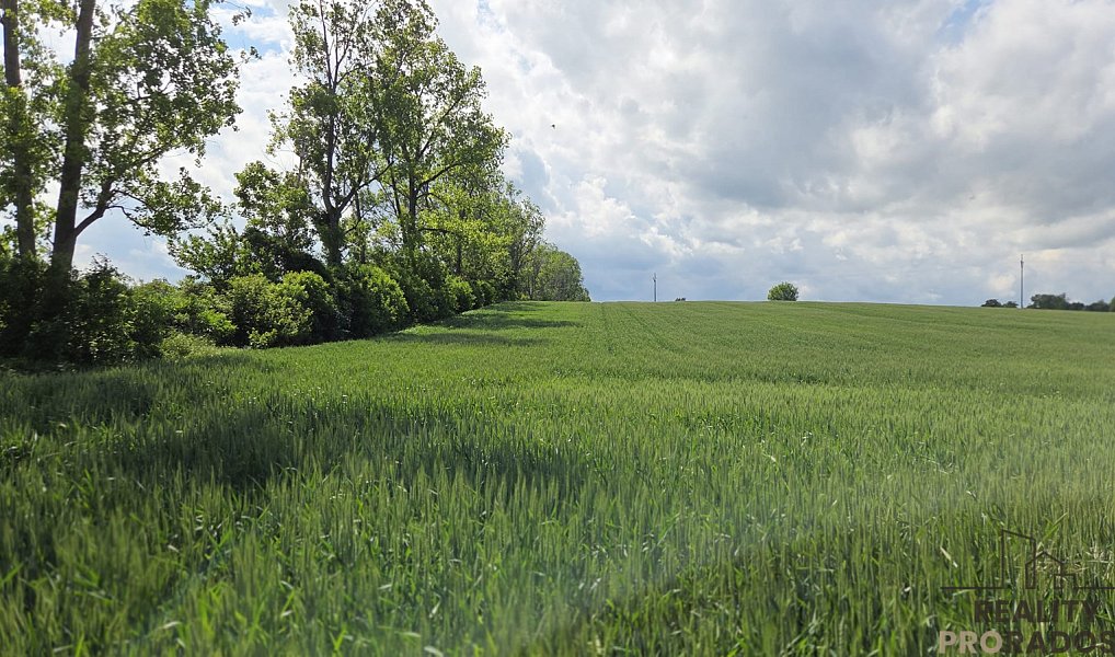 Prodej pole 2 649 m², Kyjov – náhled fotky 5